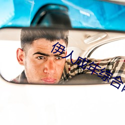伊人成年综合网2019 （园圃