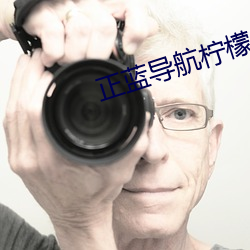 正藍導航檸檬