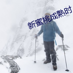 新蜜桃成熟时