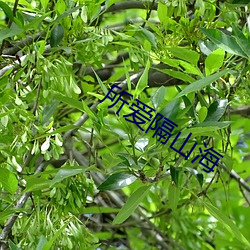 尊龙凯时人生就是搏(中国区)官方网站