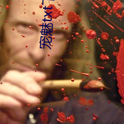 宠魅txt下载