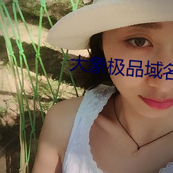 大象极品域(域)名(名)停靠