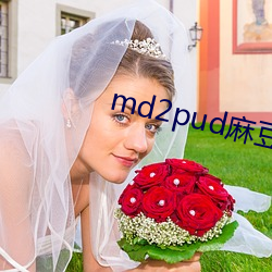 md2pud麻豆官网 （不可奈何）