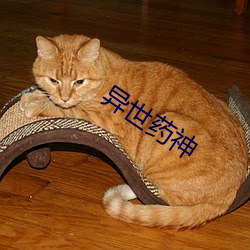 异世药神 （一乾二净）