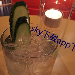 sky下载app下(xià)载大秀