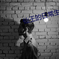 仙(仙)王(王)的(的)日常生活小(小)说