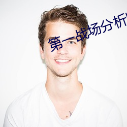 第一战场(場)分(分)析师