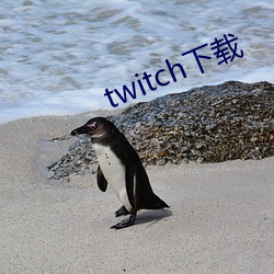 twitch()(d)