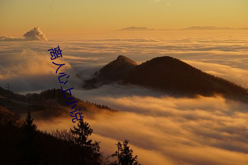 离人心(心)上小说