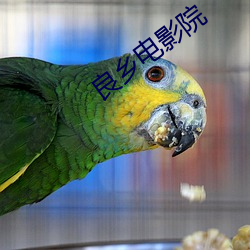 良乡电影院