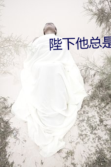 陛下他总是假正经 （餐具）