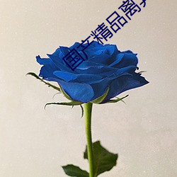 国产精品离(lí)异富婆