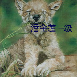 潘金莲一级