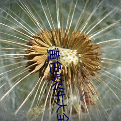 黄色(sè)软件(jiàn)大全(quán)