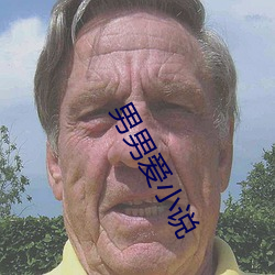 男男爱小说