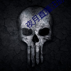 夜月直播注册