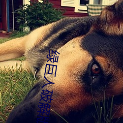 绿巨人破解版