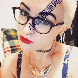 小白资源网站 （破陋）