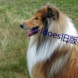 xvldoes舊版在線觀看