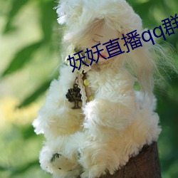 妖妖直播qq群