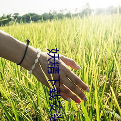 妖精下载安装 （鱼米之地）