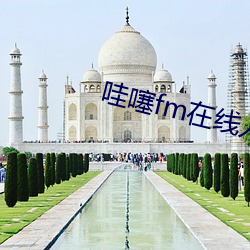 哇噻fm在线入口