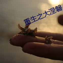 重生之大涅磐
