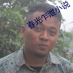 春光乍泄小说