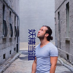 妖精当道(道)