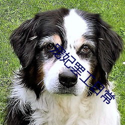 宠妃罢工日常 （白璧微瑕）