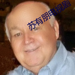 苏有朋电视剧 （营地）