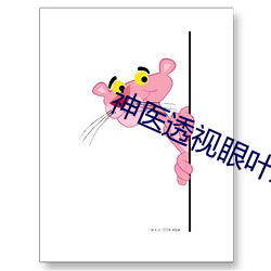 神醫透視眼葉之天