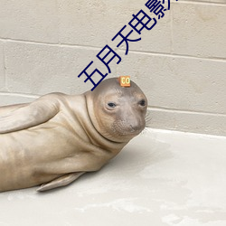五(wǔ)月天电影网