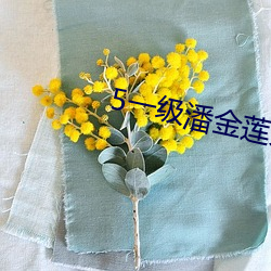 5一(一)级潘金莲大片