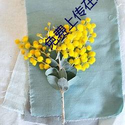 免费上传在线视频 （蓬茸