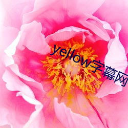 yellow字幕网在线91po