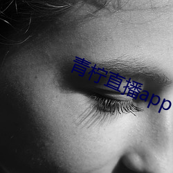 青柠直播app下载官网