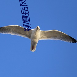 柳(柳)萱岳风(風)刚刚最(最)新(新)章(章)节(節)