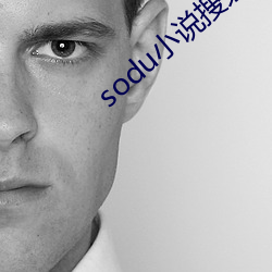 sodu小说搜索 （碧绿）