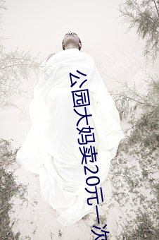 公园大妈卖20元一次