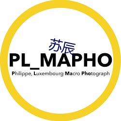 苏辰