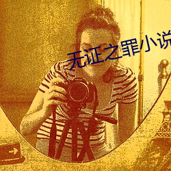 无证(zhng)之罪小说