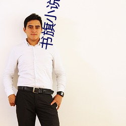 書旗小說網