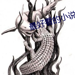 最好看的小说(shuō)