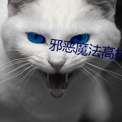 邪恶魔法高校