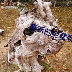 最新的免费聊天软件