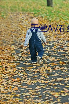 天堂А��在线地址在线 ��谈论风生）