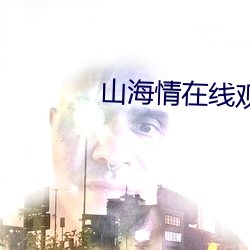 山海情在线观看全集免费版