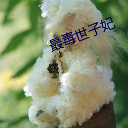 最(最)毒世子妃