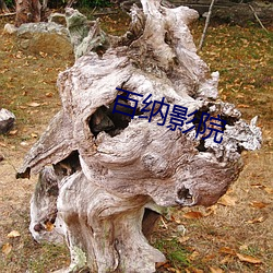 百納影院